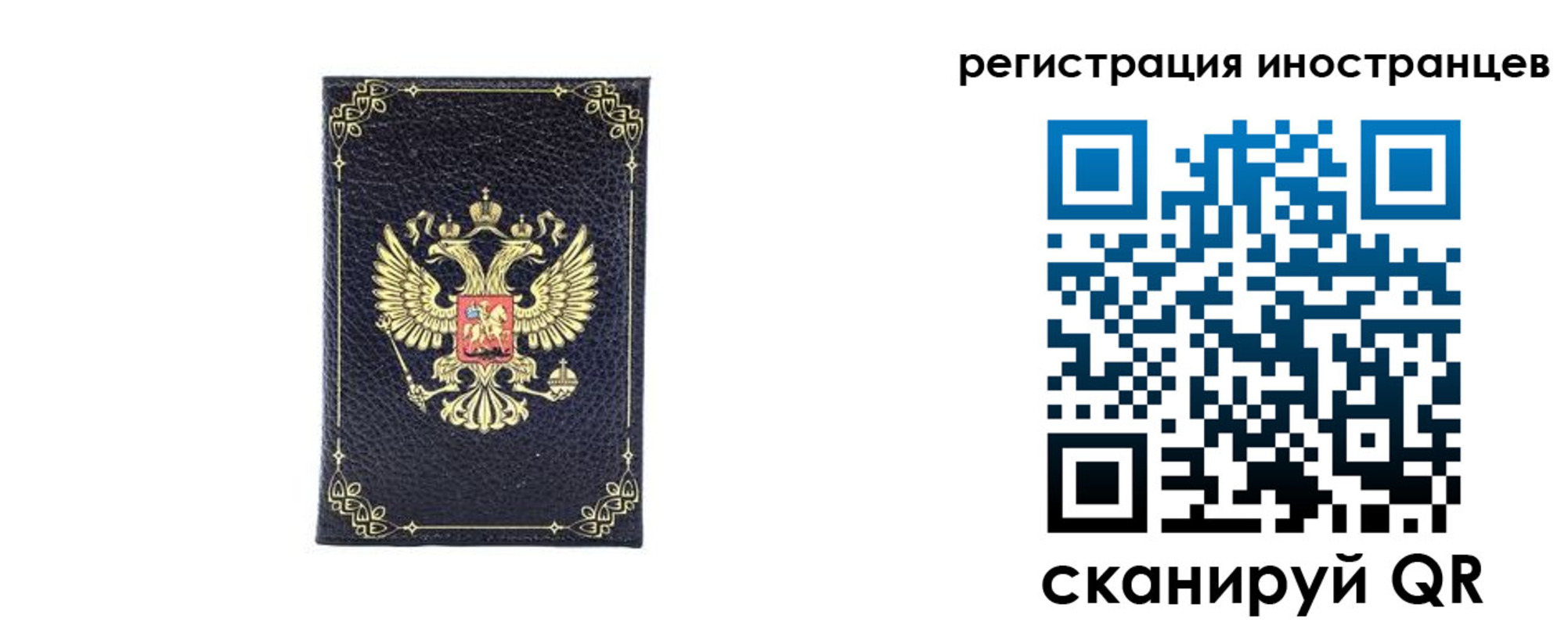 прописка для школы в Шали